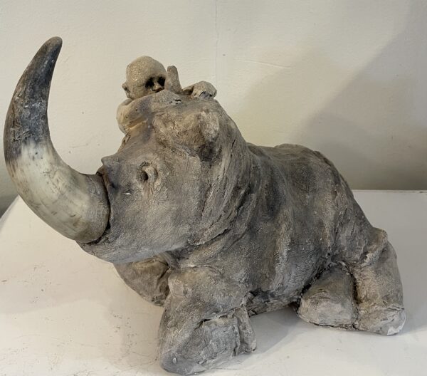 Geheimpje met een neushoorn - Afbeelding 2