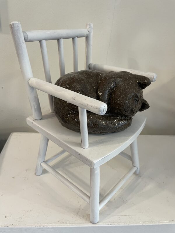 Poes op houten stoel