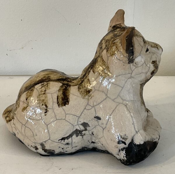Bruin-witte poes