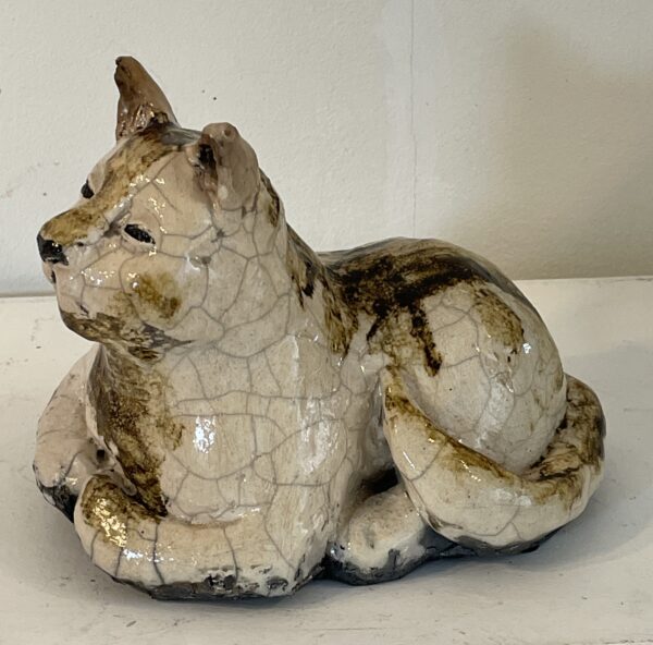 Bruin-witte poes - Afbeelding 2