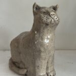 Witte poes