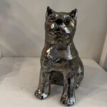 Goudkleurige poes